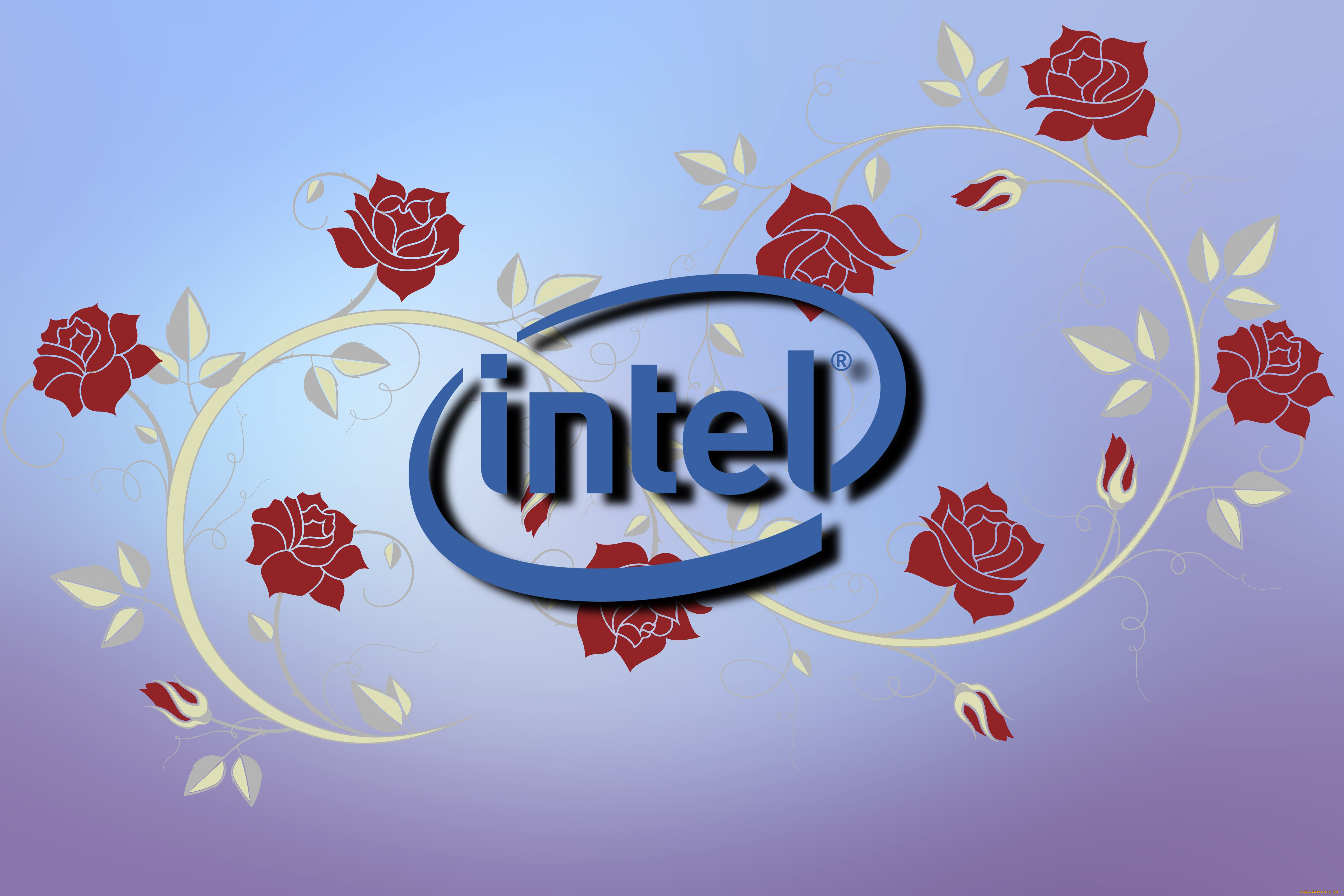 , intel, , 